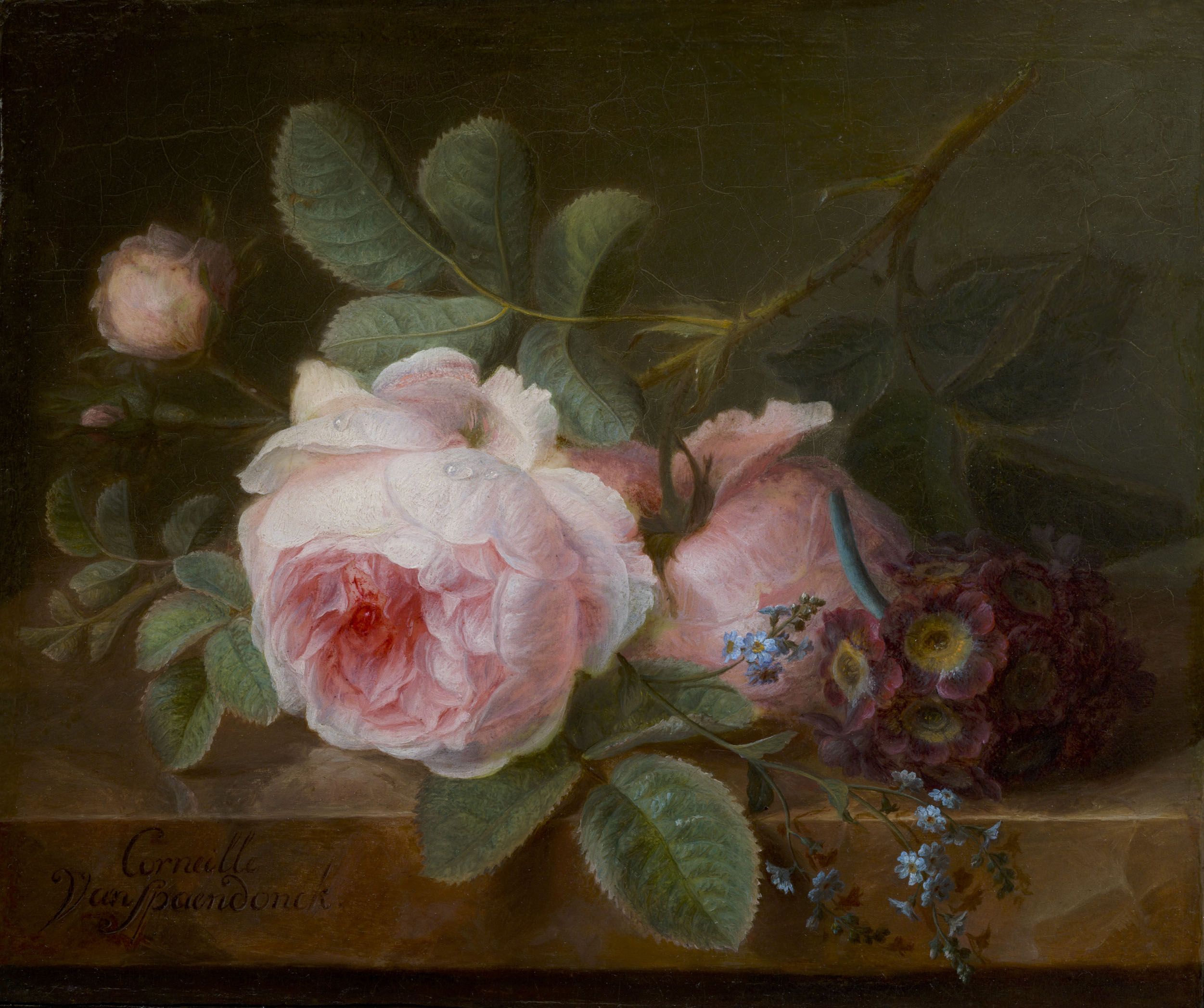 2502x2095 One Year One Painting A Day Cornelis Van Spaendonck And Cabbage - Cabbage Rose Painting