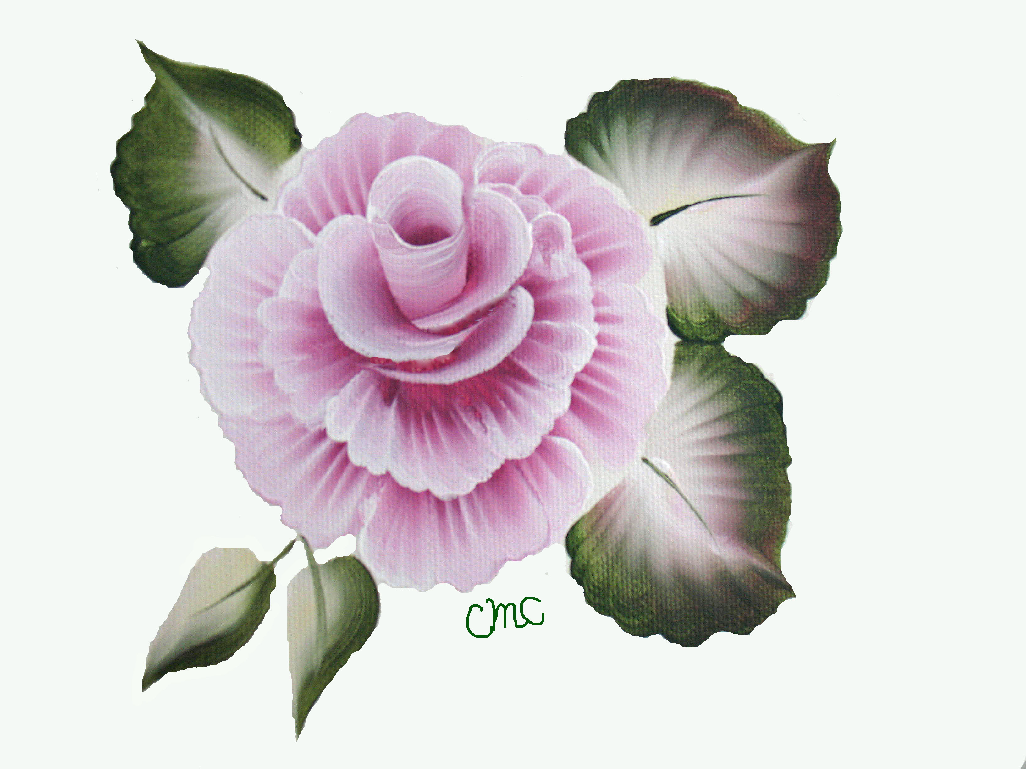 3264x2448 Carol's World Of Painting Terry And Carol - Cabbage Rose Painting