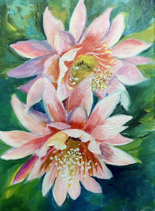 517x700 Christmas Cactus - Cactus Flower Painting