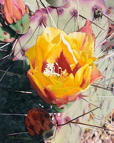 366x458 Prickly Pear Cactus Flower - Cactus Flower Painting