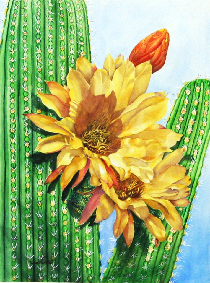 711x958 Art By Vina Curtis - Cactus Flower Painting