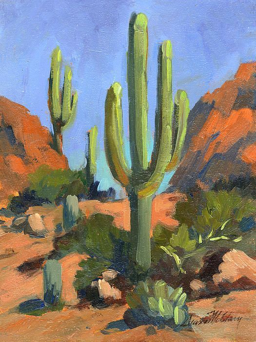 525x700 Da94baf72dd3176056e9bacc45dd4969.jpg Saguaro National - Cactus Landscape Painting