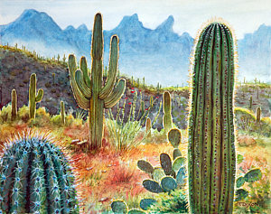 300x237 Cactus Paintings Fine Art America - Cactus Landscape Painting
