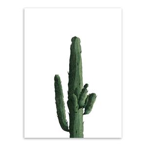 300x300 Cactus Oil Painting Print The Fly Cacti - Cactus Oil Painting