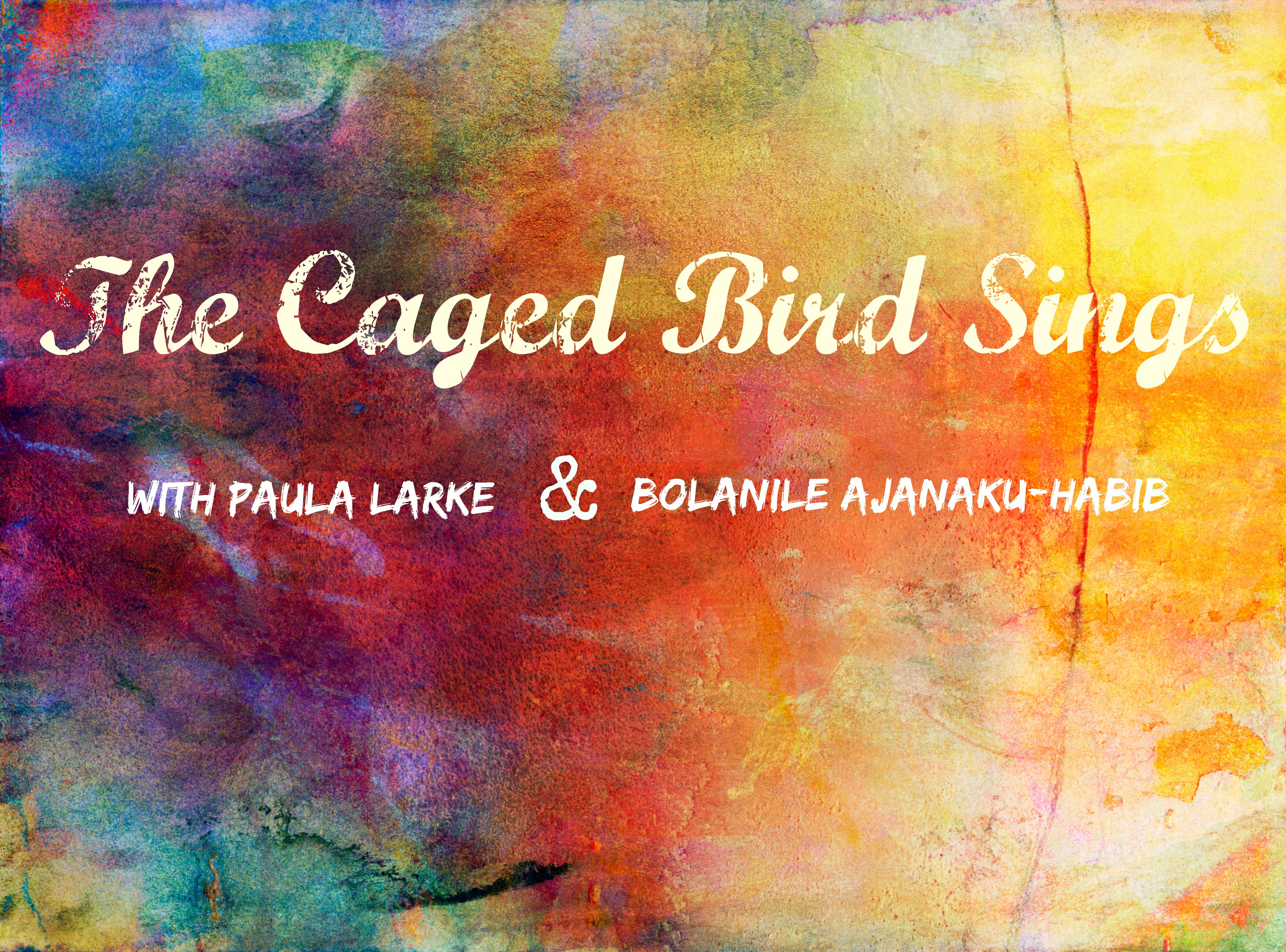 3148x2331 Introducing The Caged Bird Sings Interview With Paula Larke - Caged Bird Painting