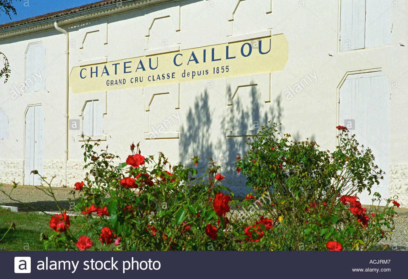 1300x891 Winery Chateau Caillou In Sauternes, A Sign Painted - Caillou Painting