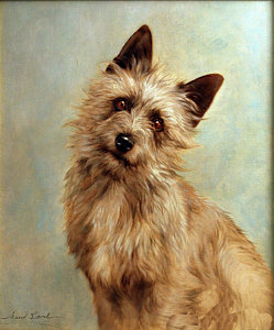 249x300 Cairn Terrier Art - Cairn Terrier Painting