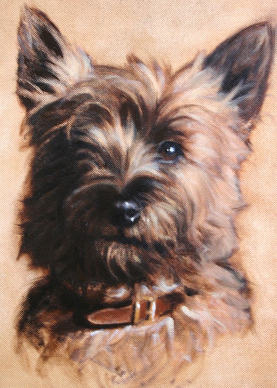 914x1280 Cairn Terrier Painting By Hazel Morgan Pets Cairn - Cairn Terrier Painting