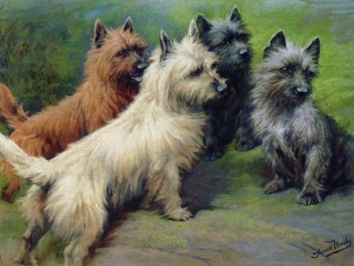 390x293 A State Dog For Kansas ~ Thepipershihtzu - Cairn Terrier Painting