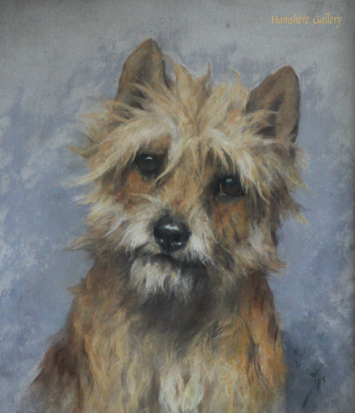 1234x1436 Category Individual - Cairn Terrier Painting