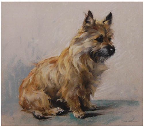 500x443 Epic Cairn Terrier Painting. I Think Painting Buddy's Fur Won'T Be - Cairn Terrier Painting