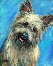 201x251 Image Result For Cairn Terrier Painting Animals And Pets - Cairn Terrier Painting