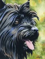 155x200 Stunning Cairn Terrier Artwork For Sale On Fine Art Prints - Cairn Terrier Painting