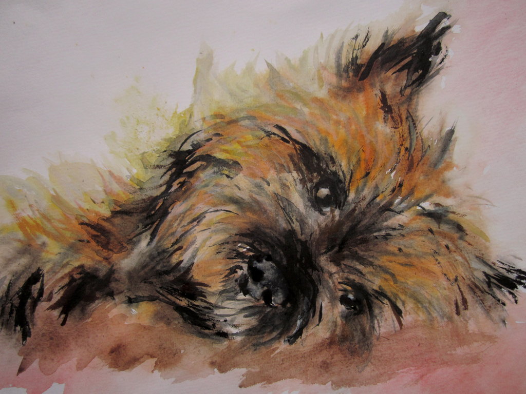 1024x768 Cairn Terrier Aquarell By 1ll45 - Cairn Terrier Painting
