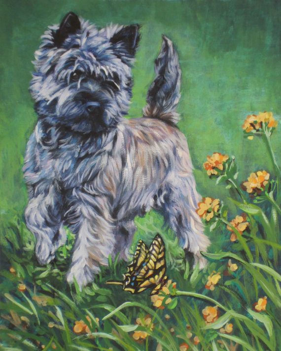 570x713 Cairn Terrier Art Canvas Print Of La Shepard Painting 8x10 Dog - Cairn Terrier Painting