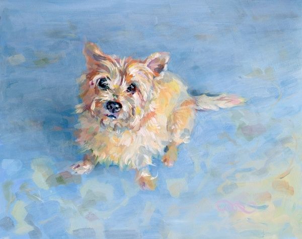 600x476 Cairn Terrier Paintings Bath - Cairn Terrier Painting