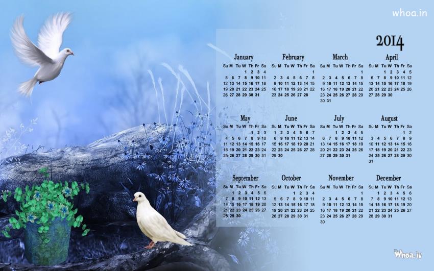 850x531 Calendar 2014 With White Pigeon Painting - Calendar Painting