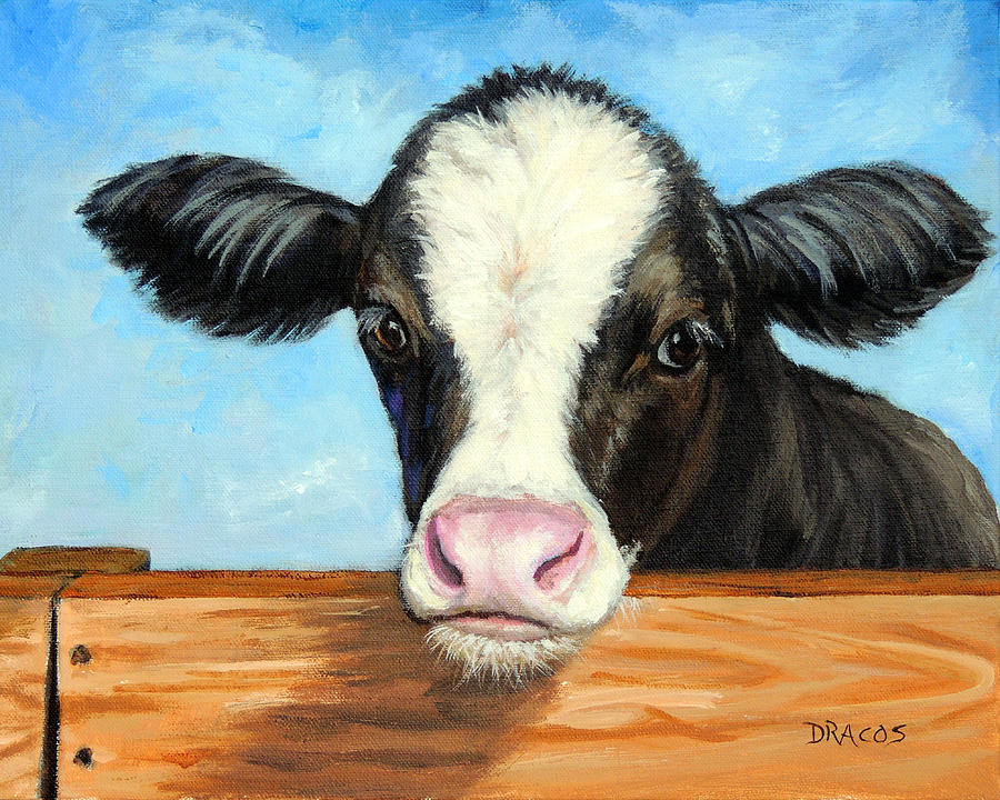 900x720 Holstein Calf On Fence Painting By Dottie Dracos - Calf Painting