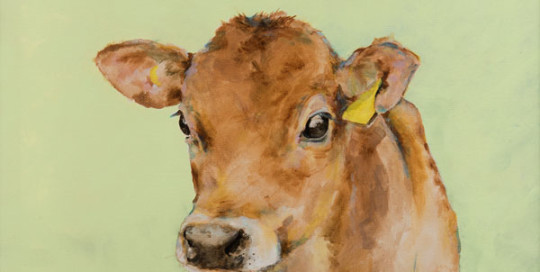 540x272 Originals Lorraine Fletcher Art Studio - Calf Painting