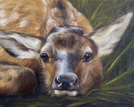 530x426 Portrait Of A Calf - Calf Painting