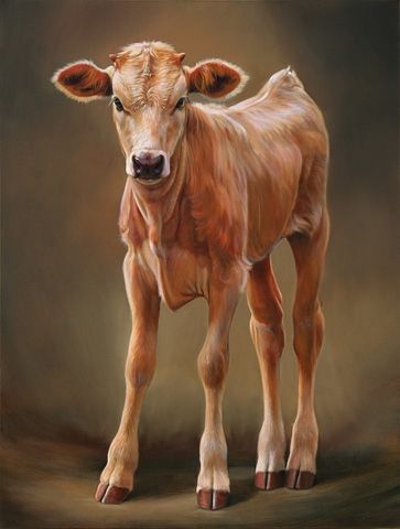 363x480 Teresa Elliott Artist - Calf Painting
