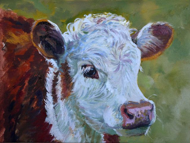 639x482 White Painted With Multiple Colors Makes It A Fun And Colorful - Calf Painting
