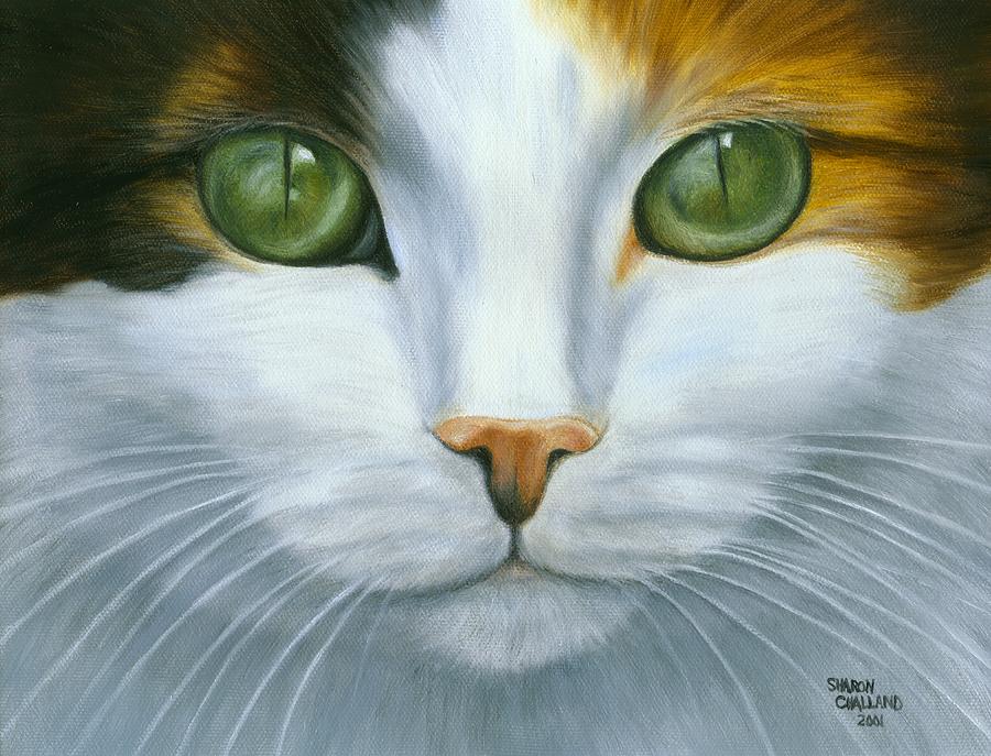 900x687 Green Eyed Calico Cat Painting By Sharon Challand - Calico Cat Painting