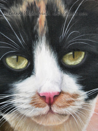 319x425 Leanne Wildermuth Artist By Nature Kiki Completed - Calico Cat Painting