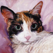 180x180 Custom Pet Portrait Paintings In Oils By Puci - Calico Painting