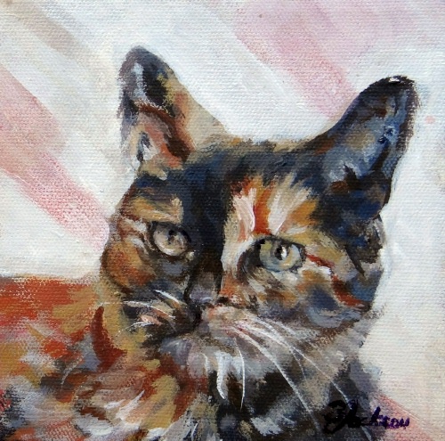 500x495 Painting With Pencil Proportion Christmas Calico Cat - Calico Painting