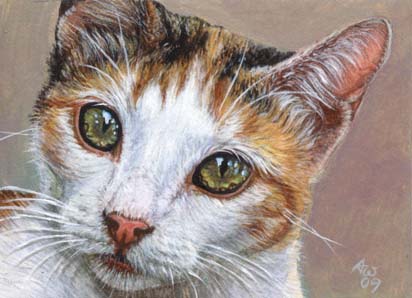 412x298 Calico - Calico Painting