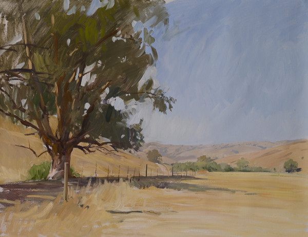 600x463 California Central Coast Plein Air Paintings Marc Dalessio - California Painting