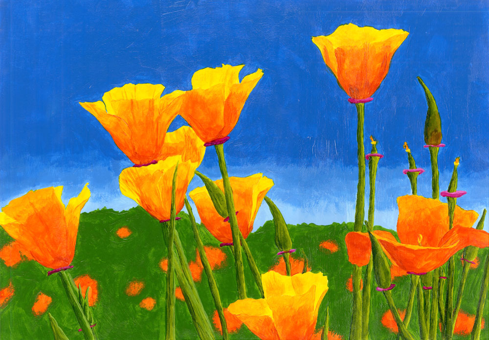 1000x695 California Poppies By Omelets4sqwerls - California Poppy Painting