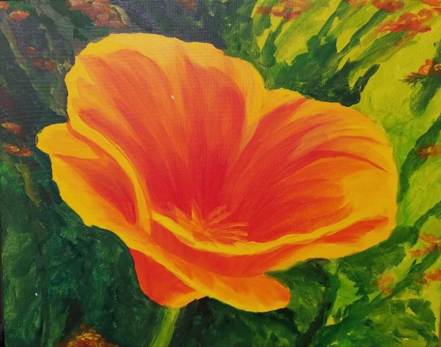635x500 California Poppy - California Poppy Painting