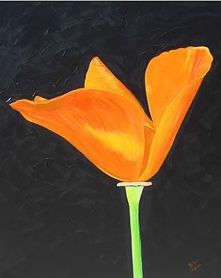 319x400 California Poppy - California Poppy Painting