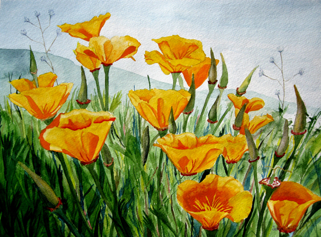 640x473 Lighthouses 2009 To 2011 - California Poppy Painting