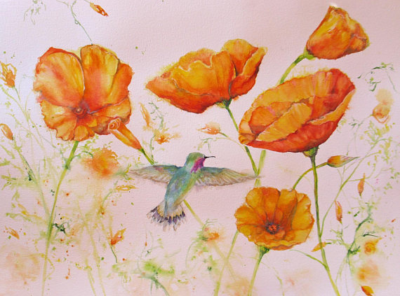 570x423 California Poppy Hummingbird Art Print Hummingbird Poppy - California Poppy Painting