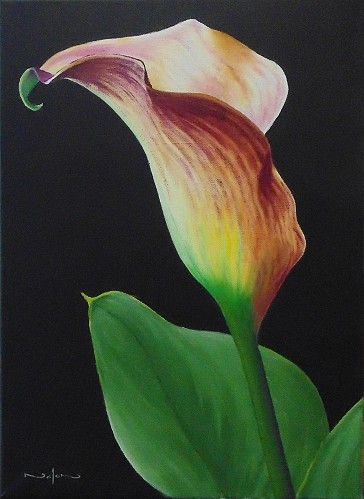 364x499 How To Paint A Calla Lily In Oil Online Art Lessons - Calla Lily Oil Painting