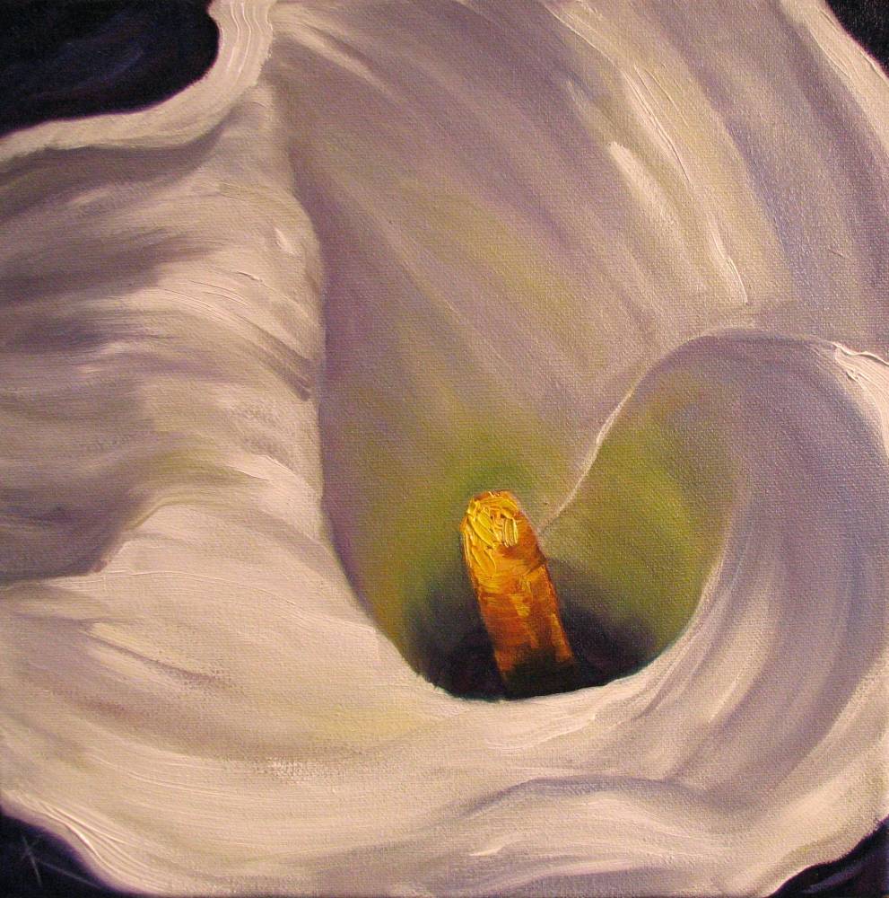 991x1000 Kim Blair Oil Painting Of A Calla Lily, White Swirl, By Canadian - Calla Lily Oil Painting