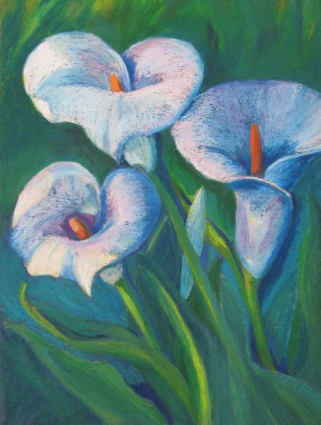 453x600 Marion's Floral Art Blog Calla Lilies In Oil Pastel Wip - Calla Lily Oil Painting