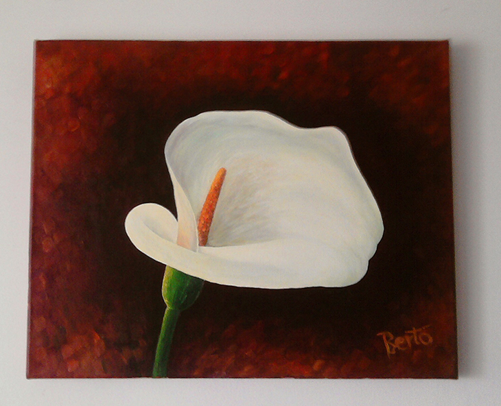 730x592 My 3rd Oil Painting, 40x50cm White Calla Lily (Oil On Canvas - Calla Lily Oil Painting