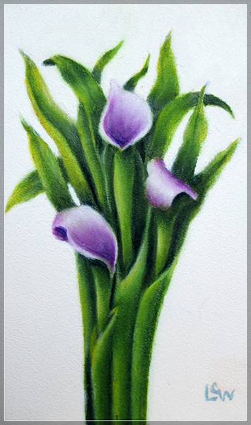 355x600 Paintings Lilina C. Williams - Calla Lily Oil Painting