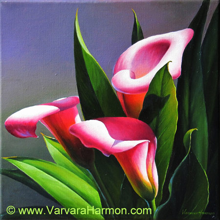 Calla Lily Oil Painting at PaintingValley.com | Explore collection of ...