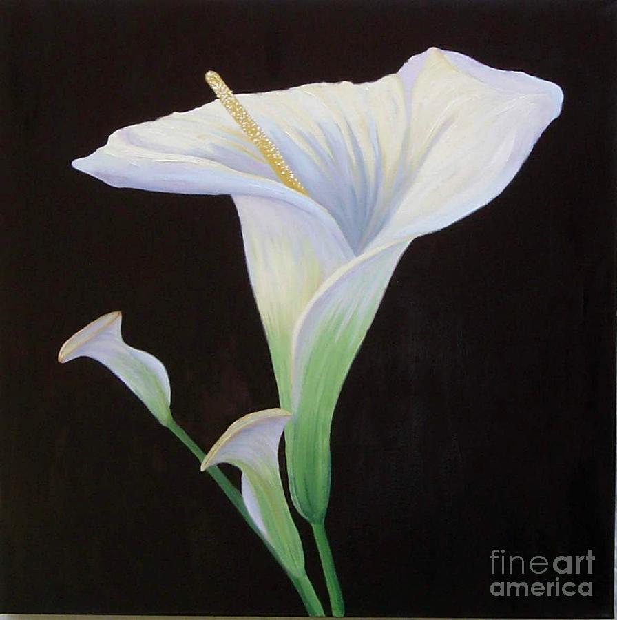 896x900 Calla Lily X Painting By Mary Erbert - Calla Lily Oil Painting