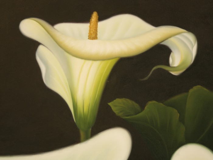 700x525 Decorative Calla Lily Oil Painting Now In Stock @ Old Plank - Calla Lily Oil Painting