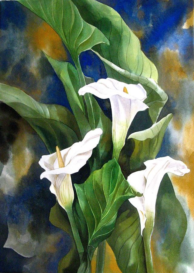 640x900 Calla Lily Painting - Calla Lily Painting
