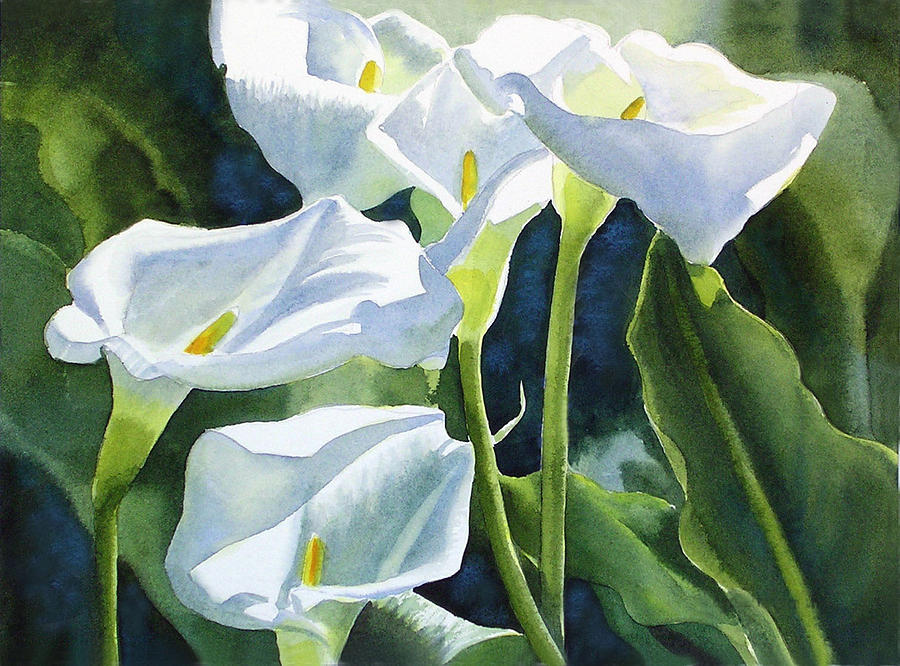 900x666 White Calla Lilies Painting By Sharon Freeman - Calla Lily Painting