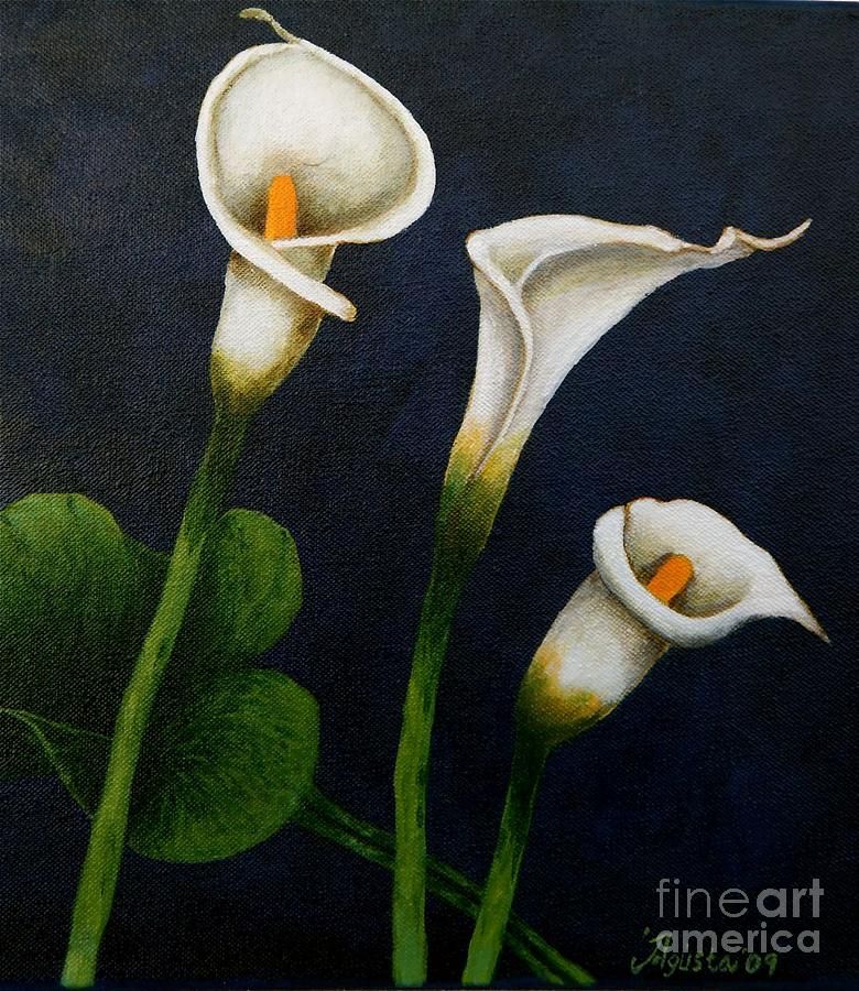 780x900 White Calla Lilies Agusta Gudrun Olafsdottir.jpg - Calla Lily Painting