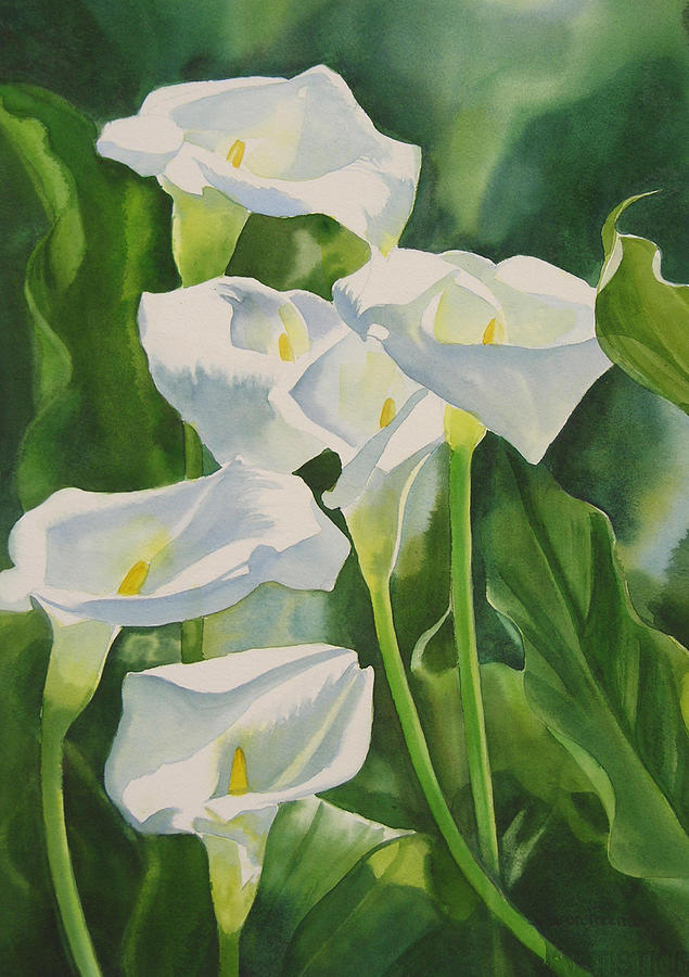 635x900 Calla Lilies Painting By Sharon Freeman - Calla Lily Watercolor Painting