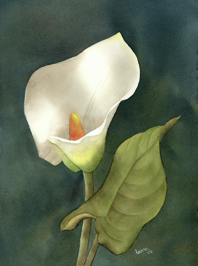 670x900 Calla Lily Painting By Leona Jones - Calla Lily Watercolor Painting